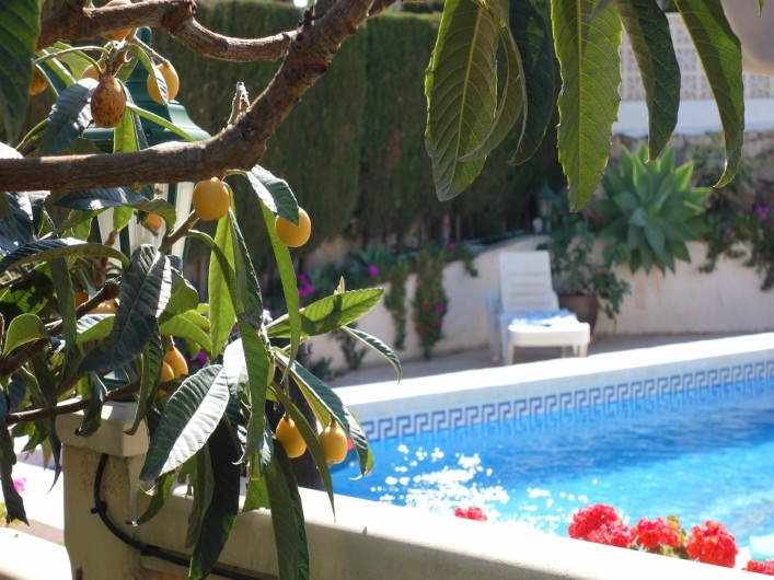 Location de vacances - Chalet à Calp