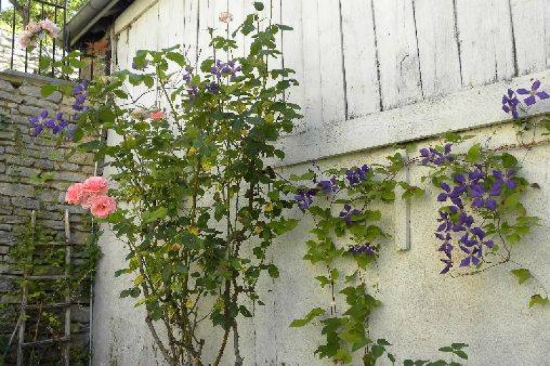 Location de vacances - Maison - Villa à Buffon - Jardin