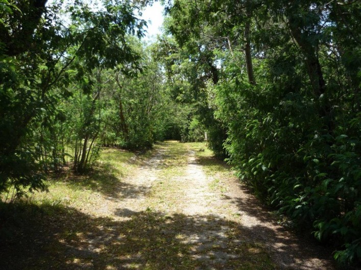Location de vacances - Camping à Laroque-des-Albères