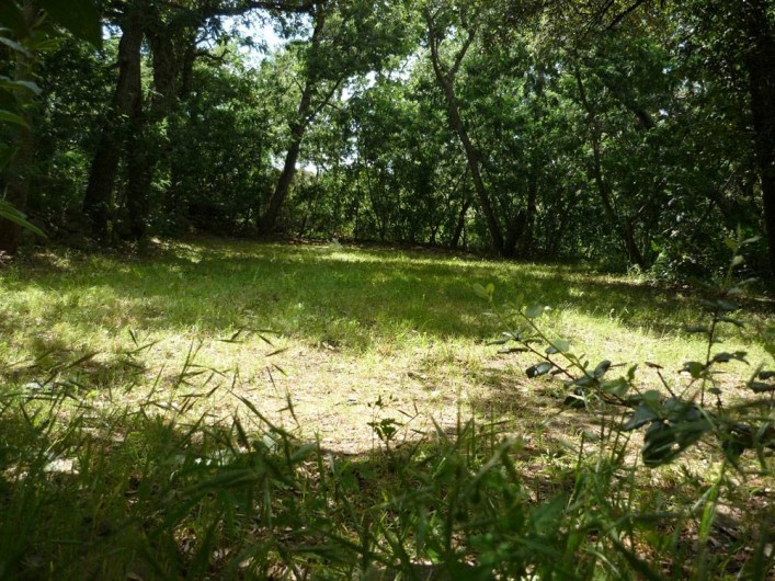 Location de vacances - Camping à Laroque-des-Albères