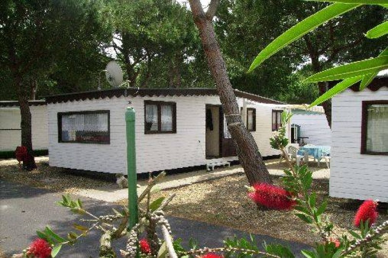 Location de vacances - Camping à Agde