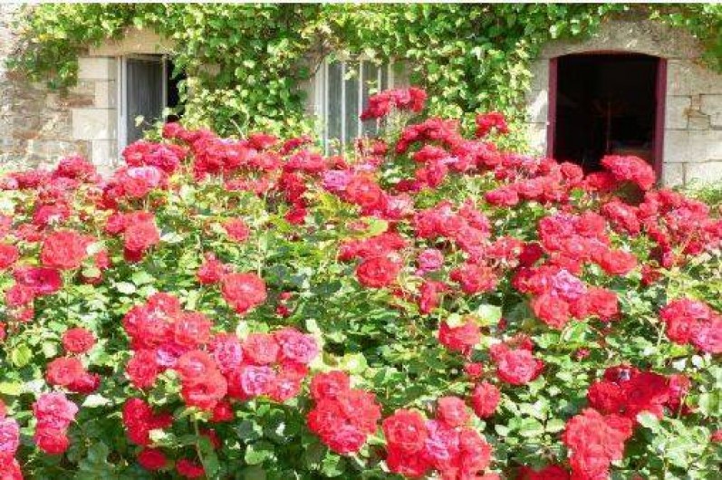 Location de vacances - Gîte à Brusvily