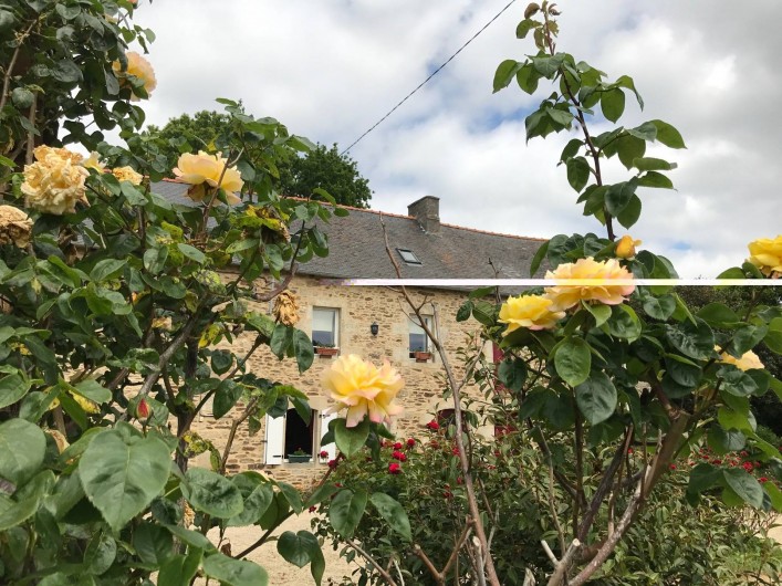 Location de vacances - Gîte à Brusvily