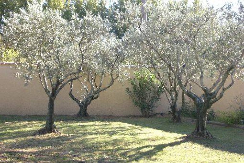 Location de vacances - Chambre d'hôtes à Caumont-sur-Durance