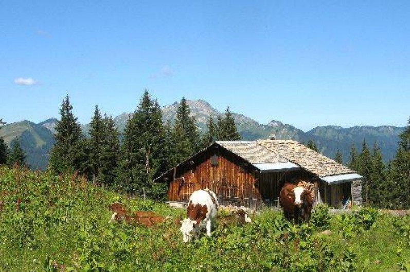 Location de vacances - Studio à Morzine