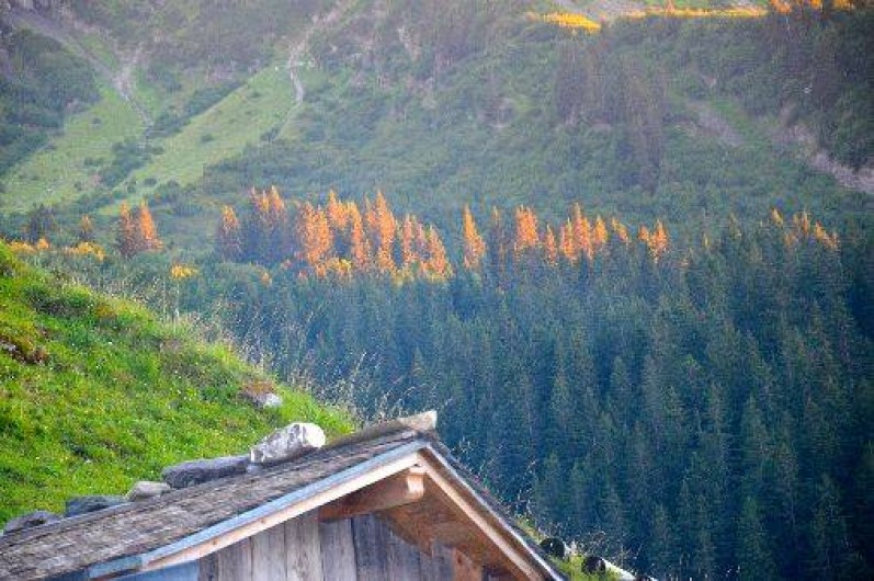 Location de vacances - Studio à Morzine