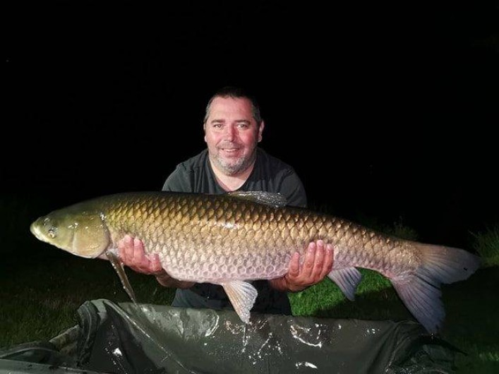 Location de vacances - Chalet à Miallet - Une carpe  amour blanc