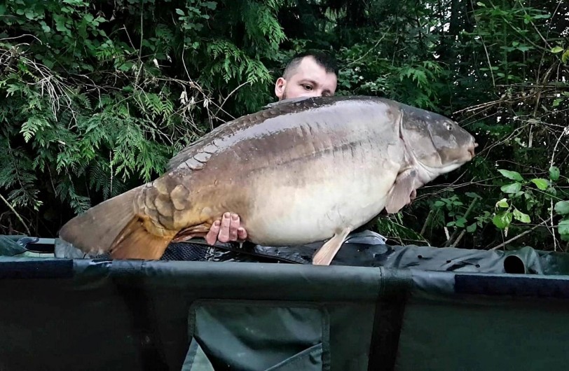 Location de vacances - Chalet à Miallet - une carpe