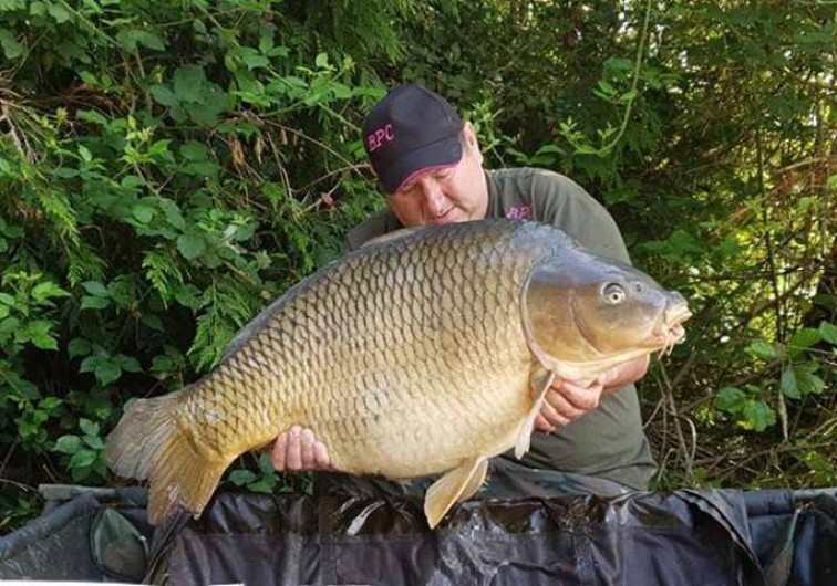 Location de vacances - Chalet à Miallet - une carpe commune
