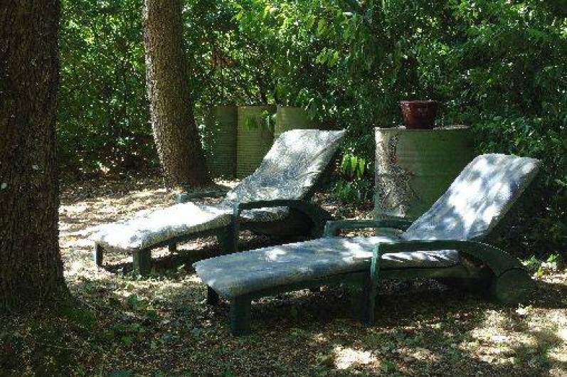 Location de vacances - Chalet à Fontiers-Cabardès