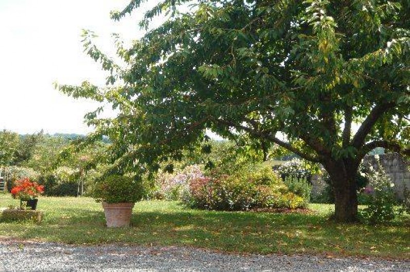 Location de vacances - Gîte à Nieul-sur-l'Autise