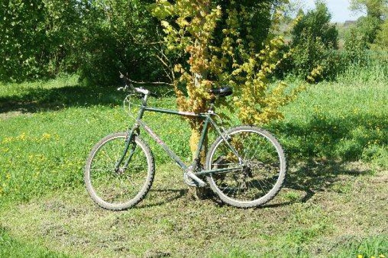 Location de vacances - Gîte à Saint-Mars-sous-Ballon - possibilité de location de vt sur demande