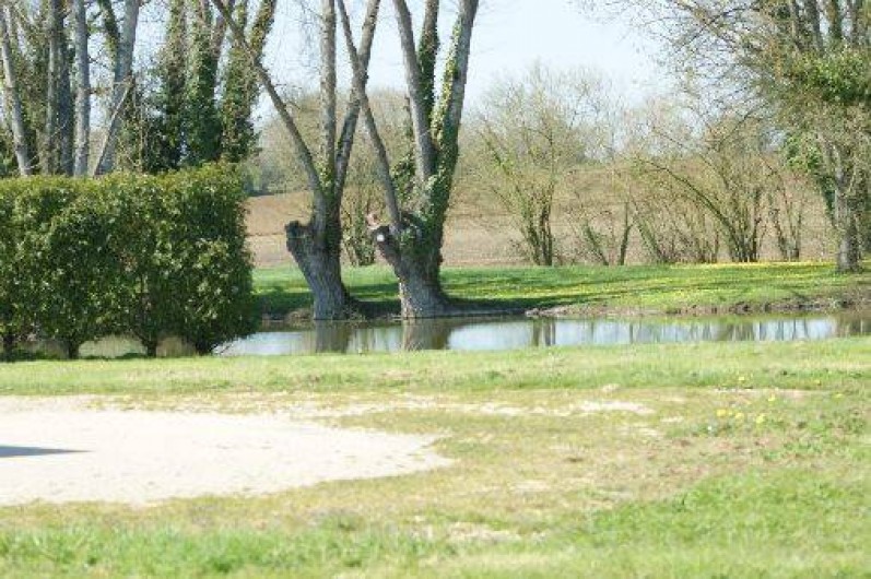 Location de vacances - Gîte à Saint-Mars-sous-Ballon - vue sur la mare