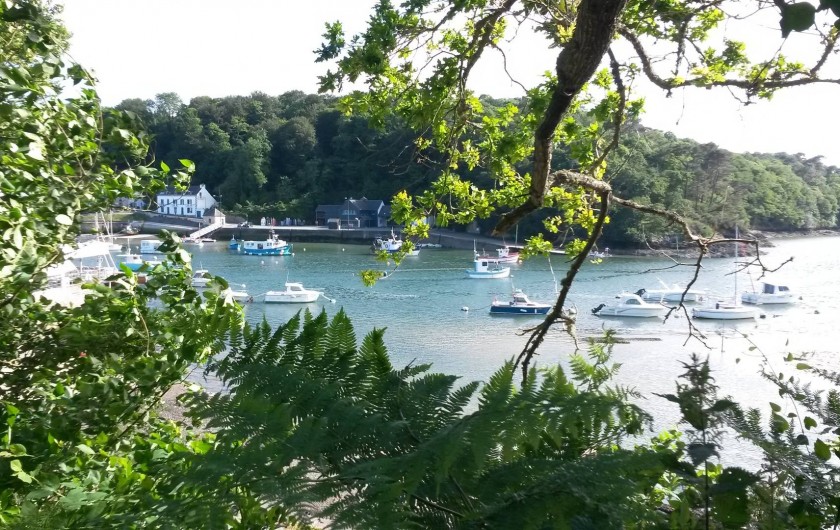 Location de vacances - Maison - Villa à Riec-sur-Bélon