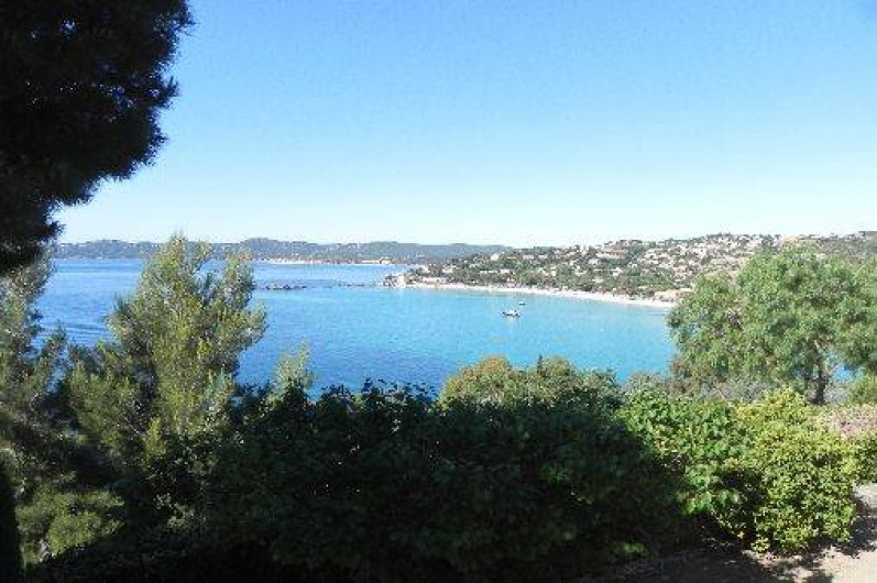 Location de vacances - Villa à Le Lavandou