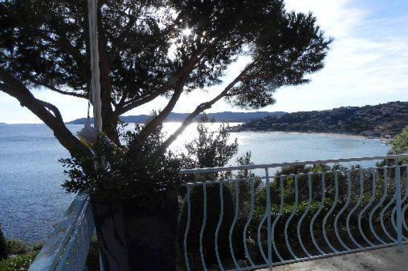 Location de vacances - Villa à Le Lavandou