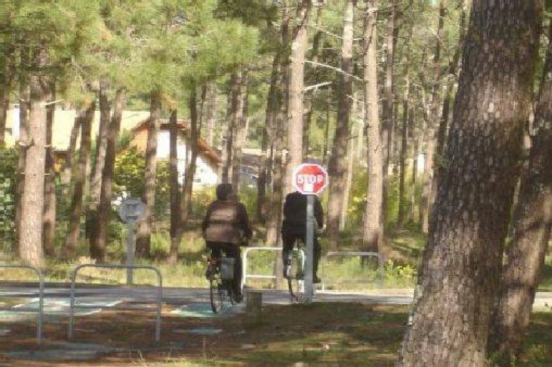 Location de vacances - Maison - Villa à Lacanau