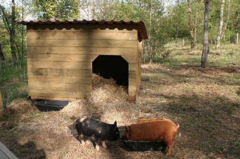 Location de vacances - Gîte à Saint-Chamarand