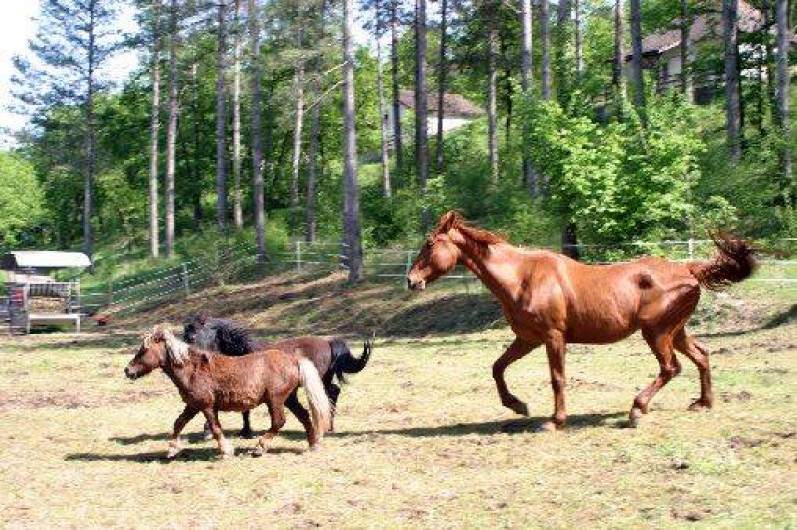 Location de vacances - Gîte à Saint-Chamarand