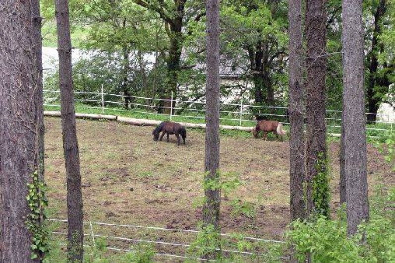 Location de vacances - Gîte à Saint-Chamarand