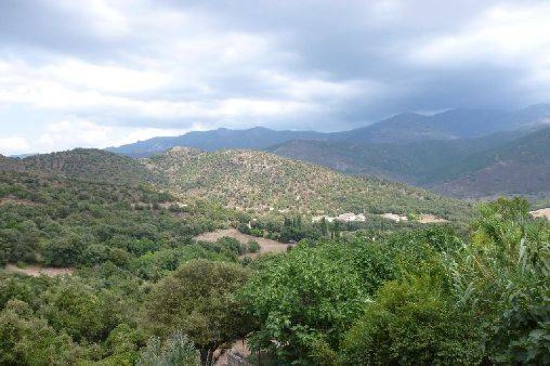 Location de vacances - Studio à Soveria