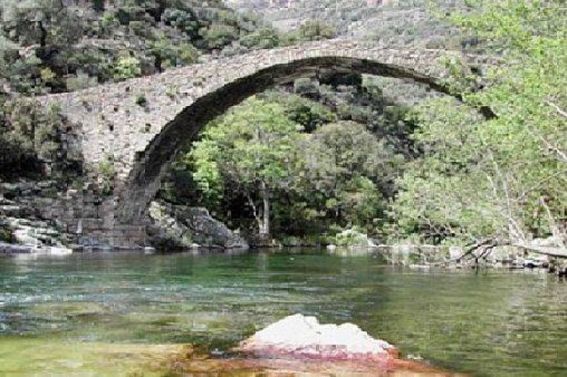 Location de vacances - Studio à Soveria