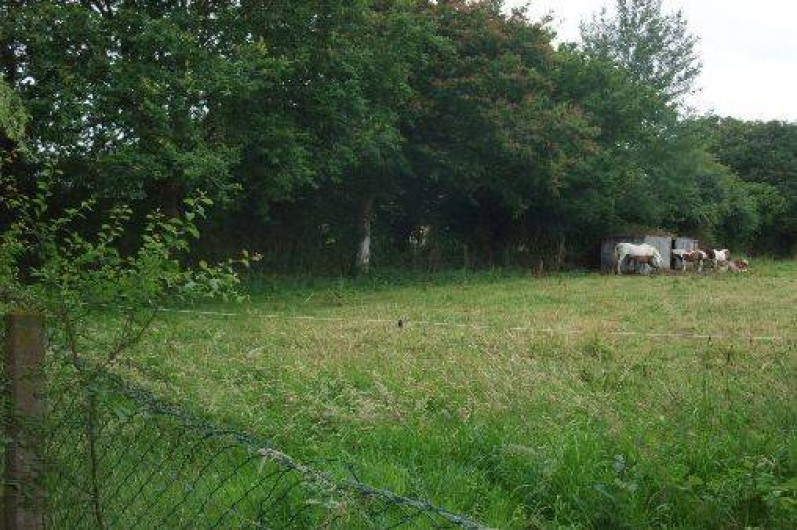 Location de vacances - Gîte à Marchésieux