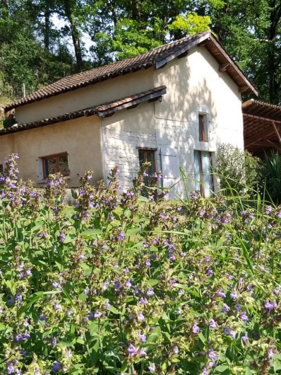 Location de vacances - Gîte à Labastide-de-Penne - extérieur