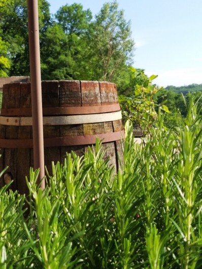 Location de vacances - Gîte à Labastide-de-Penne - extérieur