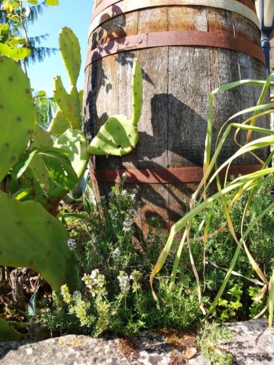 Location de vacances - Gîte à Labastide-de-Penne - extérieur