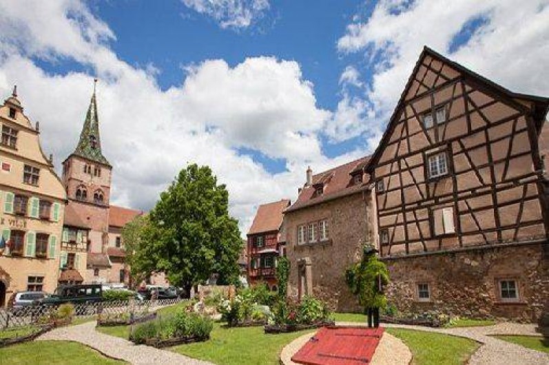 Location de vacances - Gîte à Turckheim