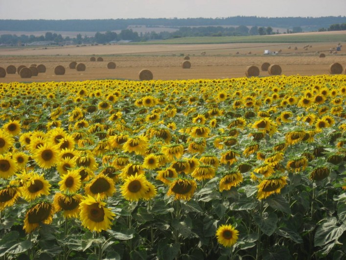 Location de vacances - Chambre d'hôtes à Heurtevent - Notre Region