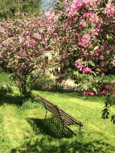 Location de vacances - Chambre d'hôtes à Heurtevent - Printemps