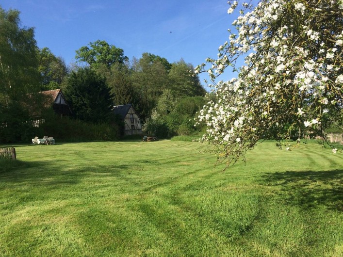 Location de vacances - Chambre d'hôtes à Heurtevent - Grand pelouses