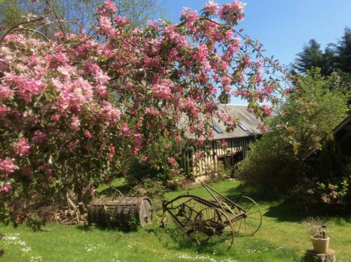 Location de vacances - Chambre d'hôtes à Heurtevent - Printemps