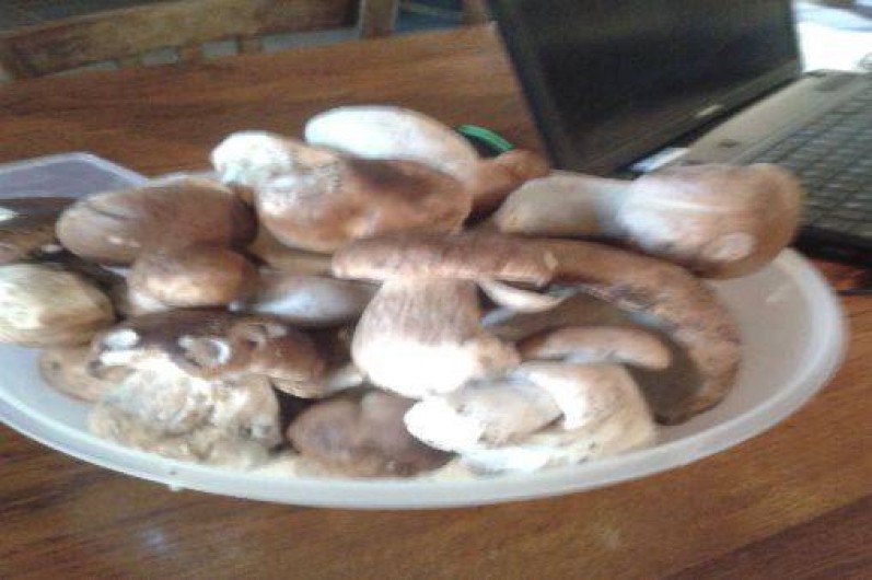 Location de vacances - Gîte à Saint-Julien-des-Chazes