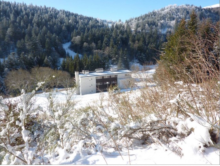 Location de vacances - Studio à Le Lioran - Immeuble et derrière , une des pistes de ski