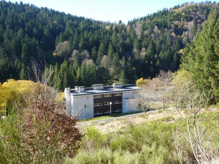 Location de vacances - Studio à Le Lioran - dans son écrin l'été