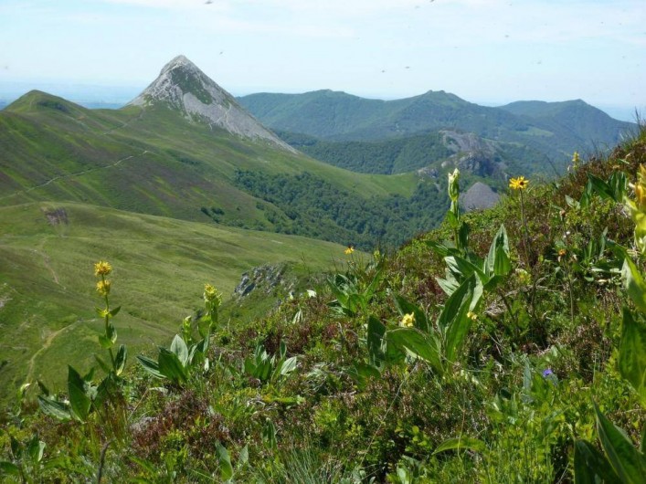 Location de vacances - Studio à Le Lioran - le puy griou et la gentiane