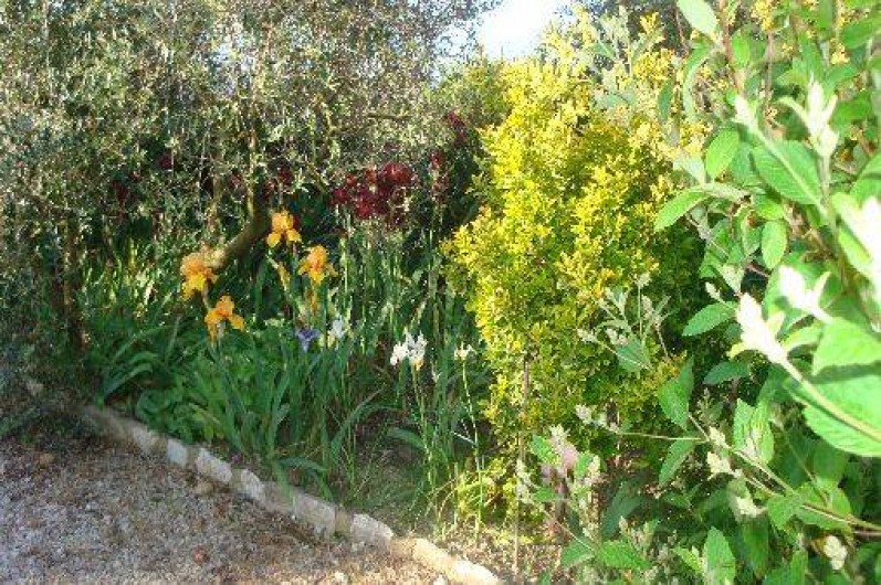 Location de vacances - Studio à Eyragues