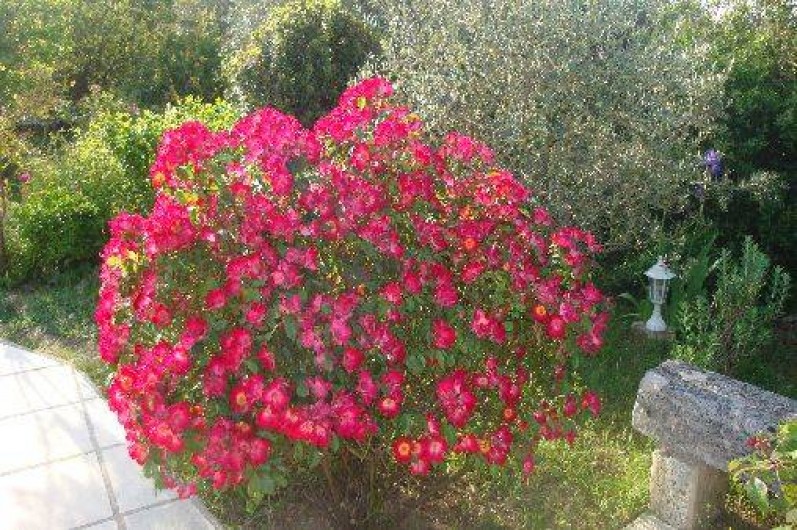 Location de vacances - Studio à Eyragues