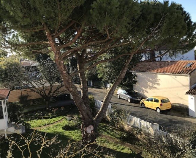 Location de vacances - Appartement à Royan