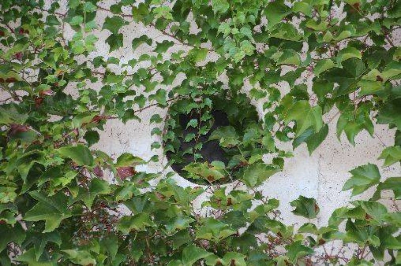 Location de vacances - Gîte à Valence-sur-Baïse