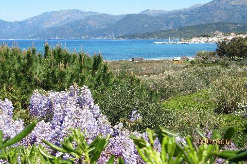 Location de vacances - Appartement à Saint-Florent