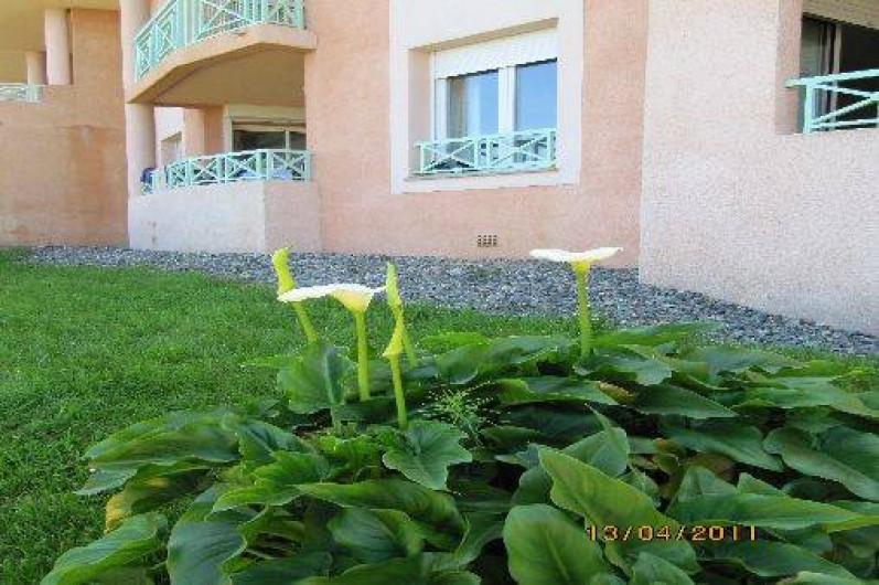 Location de vacances - Appartement à Saint-Florent