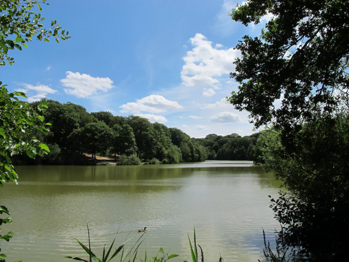 Location de vacances - Appartement à Hallines