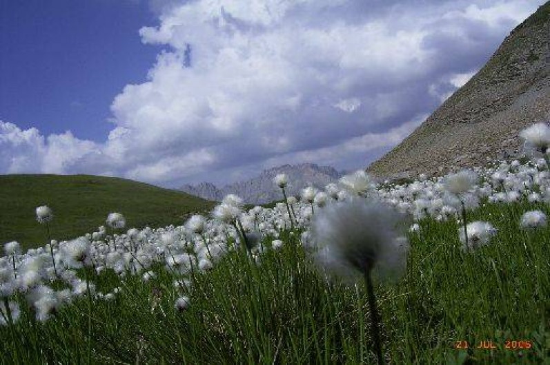 Location de vacances - Appartement à Valloire