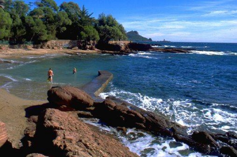 Location de vacances - Appartement à Saint-Raphaël