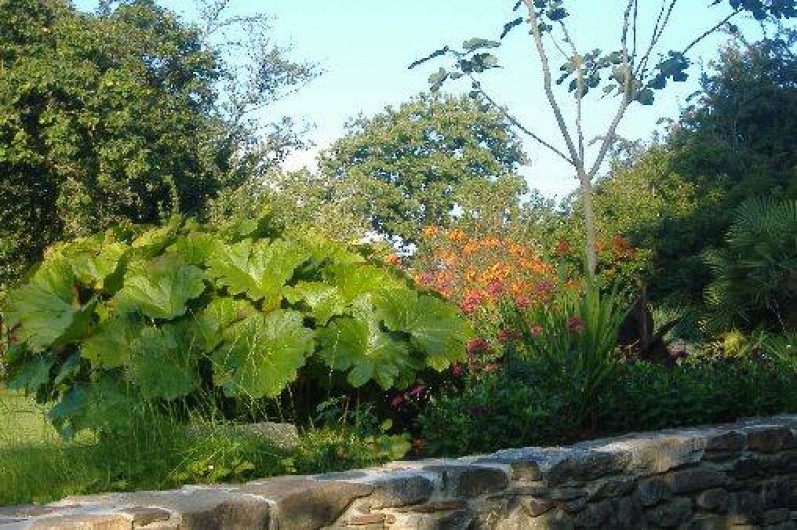 Location de vacances - Maison - Villa à Plouër-sur-Rance