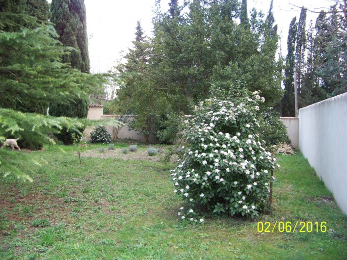 Location de vacances - Mas à L'Isle-sur-la-Sorgue